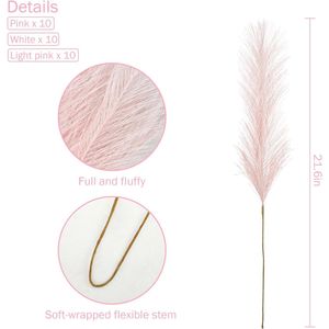 30 Pezzi di Erba della Pampa Artificiale Rosa Soffice, 55 cm, per Decorazione Casa, Steli Corti, Eleganti e Durevoli - Product Image 5