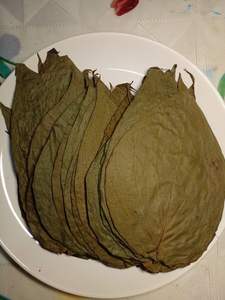 Hojas de Betel orgánicas secas de primera calidad con efecto antioxidante para el cuidado de la salud del proveedor de Vietnam - Product Image 6