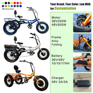 Tricycle électrique 20 pouces avec moteur 500W, pneus larges, trois roues, tricycle électrique <span class=keywords><strong>cargo</strong></span> pour adultes avec panier, vélo électrique à 3 roues - Product Image 4