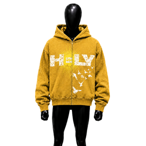Holy Sun Bird Graphic Gold Zip Up Hoodie <b>Oversized</b> <b>Vintage</b> Streetwear Distressed Print Hooded <b>Sweatshirt</b> Casual Unisex Urban Fit - Product Image 1