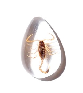 Cabochon Golden Scorpion Pear Shape Cut <b>Top</b> 25x17 mm White Flat Bottom for Crafts and Jewelry Making - Product Image 6