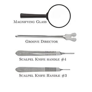 Veterinary Student Dissection Manikin Kit Stainless Steel Surgical Instruments Medical Surgery Tools <b>Model</b> - Product Image 3