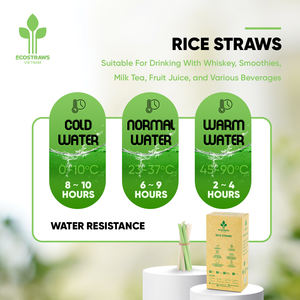 Pajitas de bambú desechables ecológicas de alta calidad, Ecosstraws sin gluten, vajilla de cartón de fábrica de Vietnam hecha de arroz - Product Image 5