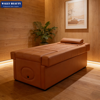 Wally Beauty Cama Eléctrica Japonesa para Spa Capilar, Mueble de Salón, Cama de Masaje y Spa con Lavabo para Pedicura, Silla de Lavado de Cabello