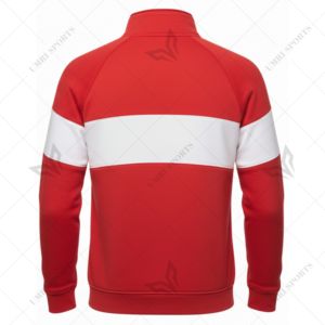 Sweat-shirt personnalisé à col zippé Delta avec logo brodé en chenille DST 1913, haut à demi-zip grec 100% coton molletonné, Sorority - Product Image 2