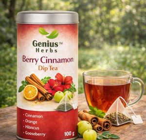 Sachets de thé naturels en gros, mélange de fruits aux herbes traditionnel, saveur épicée et réchauffante, saveur cannelle et fruits rouges - Product Image 1