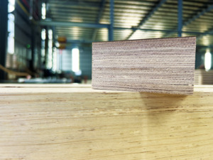 Placage stratifié industriel HPF en bois de caoutchouc de qualité supérieure, design double face, Vietnam - Product Image 6