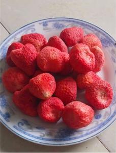 Fresas Deshidratadas Congeladas de Alta Calidad Producidas a partir de Fresas Frescas Cuidadosamente Seleccionadas para un Snack Premium - Product Image 4