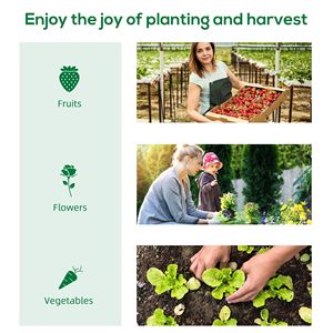 Mini serre portable avec grandes fenêtres à fermeture éclair pour plantes d'intérieur et d'extérieur, jardin vert - Product Image 3