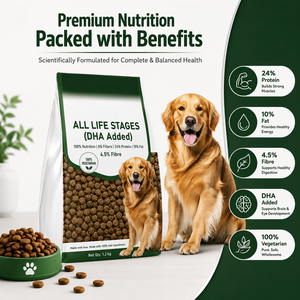 Alimento Seco para Mascotas al por Mayor OEM ODM para Perros y Gatos de Todas las Razas, Nutrición Natural Equilibrada, Marca Privada, Empaque Personalizado, Fabricante - Product Image 6