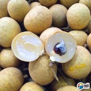 Longan Congelado IQF al por Mayor, Pulpa de Longan sin Semillas de Vietnam - Product Image 5