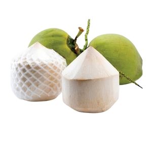 น้ำมะพร้าวพรีเมียม คุณภาพสูง รสชาติเข้มข้น สดใหม่จากฟาร์มเวียดนาม - Product Image 3