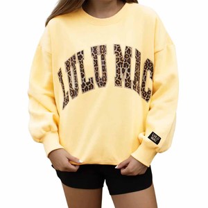 เสื้อสเวตเชิ้ตคอวีแบบวาร์ซิตี้สำหรับฤดูหนาว OEM/ODM ลายเสือดาว ปักตัวอักษร ทรงโอเวอร์ไซส์ ผ้าฟลีซ สตรีทแวร์ลำลอง เสื้อฮู้ดดี้ผู้หญิง - Product Image 1