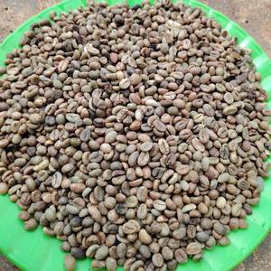 Venta al por mayor de granos de café Arábica y Robusta de 1 kg, 95 a 99% de pureza, origen Vietnam, granos de café verde, bolsas a granel de 60 kg, calidad A Plus - Product Image 3