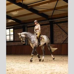 Tapis de selle 100 % coton de haute qualité, ajustables, grandes tailles, antidérapants, équipement équestre professionnel, tapis de selle anglais - Product Image 4