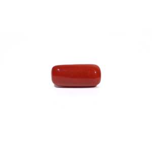 Natural Red Coral Oval Cabochon Loose Gemstone-6.99 Carat Certified Wholesale - Product Image 1