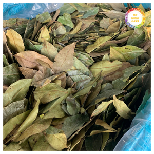 ใบฝรั่งแห้งคุณภาพสูง ใบเต็มธรรมชาติ ผ่านการแปรรูปสะอาด ความชื้นต่ำ เหมาะสำหรับการบรรจุภัณฑ์แบบจำนวนมาก - Product Image 4