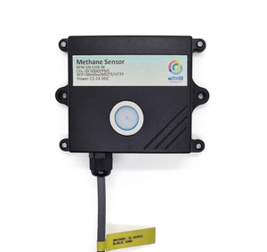 Sensor de Gas Metano WIN-SN-CH4-W, Elemento Electroquímico, Detector Inalámbrico WiFi de CH4, Alta Precisión para Monitoreo Industrial de Gases - Product Image 2