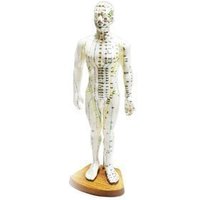 Modèle de corps humain coréen pour points d'acupuncture, 50 cm, poupée en caoutchouc homme/femme avec tableau de moxibustion