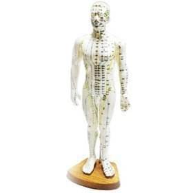 Modelo de punto de acupuntura, hombre coreano, mujer, alrededor de 50cm, modelo de cuerpo humano, gráfico de puntos de acupuntura, punto de acupuntura, muñeca de goma Mox - Product Image 2