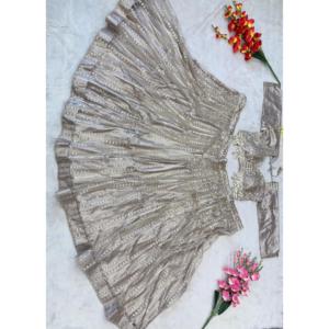 Poisson le plus tendance coupe style Lehenga Choli avec Zari travail taille 2XL - Product Image 1