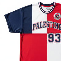Camiseta de Fútbol Retro de la Selección Nacional de Palestina 2026, para Hombre, Tallas Adulto, Personalizada con Impresión por Transferencia de Calor, Secado Rápido