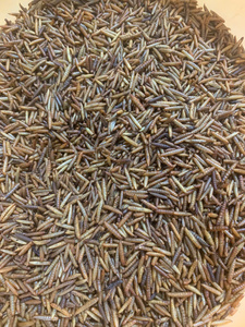 0.5kg de Gusanos de Harina Secos Orgánicos, Altos en Proteínas y Sin Aditivos para Aves y Pollos, Disponibles en Stock - Product Image 4