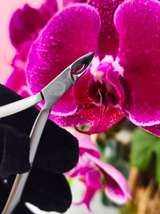 Kit Portátil de Manicura y Pedicura, Juego de Herramientas de Acero Inoxidable para el Cuidado de las Uñas con Estuche - Product Image 2