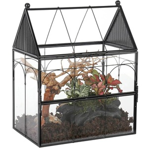 Terrario de Vidrio Irregular Hecho a Mano con Diseño Moderno, Recipiente Geométrico Dorado para Plantas Aéreas, Decoración del Hogar - Product Image 3