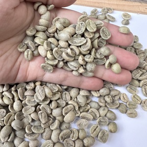 Grains de café vert Arabica du Vietnam SCR13 SCR16 SCR18 Entièrement lavés Qualité Premium Exportation Vente en gros pour Torréfacteurs Importateurs ANNA - Product Image 5