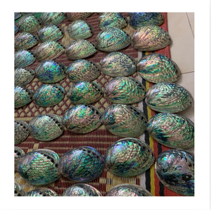 Coquilles d'ormeaux naturelles polies, matériau artisanal écologique pour la décoration intérieure et la fabrication de bijoux en DIY, en provenance du Vietnam - Product Image 1