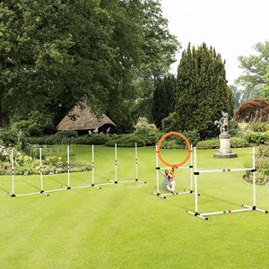 Set Portatile 3 Pezzi per Addestramento Agility Cani, Anello per Salto Regolabile, Salto ad Ostacoli con Borsa per il Trasporto - Product Image 2