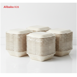 Barquette multi-compartiments en bagasse, écologique et jetable, pour repas scolaires, restauration aérienne et aires de restauration - Product Image 3