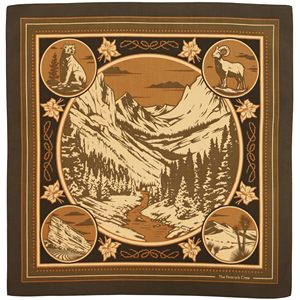 High Quality Custom Cotton Bandana 22 Inch Printed Square Handkerchief Streetwear Outdoor <b>Accessories</b> - Product Image 4