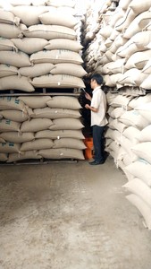 Grains de café vert robusta du Vietnam entièrement certifiés au meilleur prix avec certifications d'exportation complètes emballées en sac + 84 35 9169566 - Product Image 6