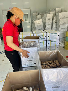 Jengibre Vietnamita de Exportación, Fresco, Aroma Intenso, Limpio y Seco, Venta al por Mayor - Product Image 3