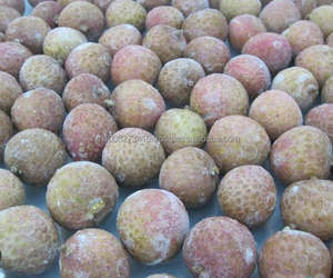 Lichi Congelado IQF de Alta Calidad de Vietnam |   Enteros, sin semillas y con pulpa |   Marca KMI Premium |   Envasado al Vacío |   Duración de vida útil de 24 meses - Product Image 2