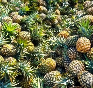 Ananas surgelé du Vietnam pour smoothies, desserts, pizzas et pâtisseries – Pratique, gain de temps, bon prix - Product Image 2