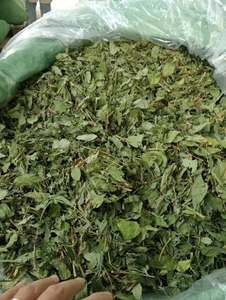 Hojas de Stevia Secas Naturales Directas de Fábrica, 2oz, Envasado al Vacío para Elaboración Casera de Cerveza y Té Detox - Product Image 5