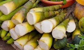 หน่อไม้ไผ่แห้งพรีเมียม – หน่อไม้ไผ่ตากแดดธรรมชาติ ผู้จัดจำหน่ายจากเวียดนาม // คุณทอม - Product Image 6