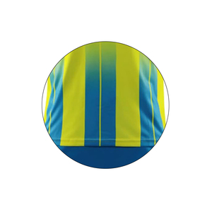 Ensemble d'uniformes de football junior de haute qualité, couleurs d'équipe classiques, caractéristiques ajustables, nom par sublimation, ajustement parfait, multi-saisons - Product Image 6