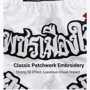 Wholesale Muay Thai Fight <b>Shorts</b> With Embroidery Mma Boxing Training <b>Shorts</b> Custom Logo Mma <b>Grappling</b> Jiujitsu <b>Grappling</b> <b>Short</b> - Product Image 3