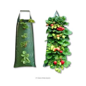 Jardinière verticale de haute qualité à 10 poches, sac de culture suspendu en HDPE, pochette murale pour plantes, jardinière pour fraises et herbes - Product Image 1