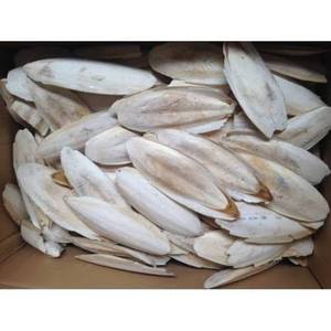Os de Seiche Séché 100% Naturel Viet Delta Premium pour Oiseaux et Reptiles |   Emballage en vrac sous blister |   OEM disponible (M. John) - Product Image 3