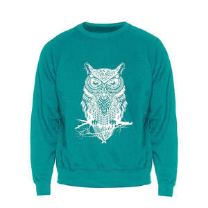 เสื้อสเวตเชิ้ตคอกลมสีเขียวอมฟ้าสำหรับผู้ชาย พิมพ์ลายนกฮูก ทรงปกติ สวมใส่สบายๆ สำหรับฤดูใบไม้ร่วง ผลิตจากผ้าฝ้าย 100% ดีไซน์ถักทอ พร้อมโลโก้ด้านหน้า - Product Image 1