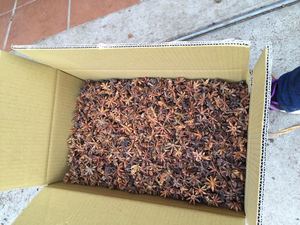 [Producción de Primavera] Anís Estrellado de Vietnam, Granulado Crudo Seco Procesado, 10 kg, Sabor Picante, a Granel, Condimento Granulado, Venta al por Mayor - Product Image 3