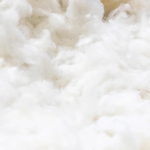 Sheep <b>Wool</b> Raw Carded 100% <b>Wool</b> - Product Image 2