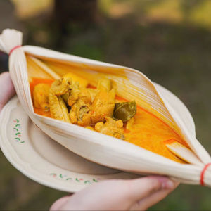 Best Grade Heavy Duty Areca Palm Leaf <b>Disposable</b> <b>Plates</b> with Chemical-Free Compostable Dinnerware for Hotels Cafes and Catering - Product Image 3