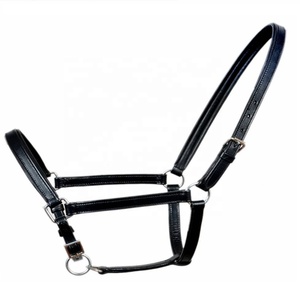 LEATHER <b>HALTER</b> FOR HORSE & PP <b>HALTER</b> FOR ARABIAN HORSE RIDING INDIA MADE RUST PROOF COLOR GREEN CUSTOMIZED SIZE AVAILABLE - Product Image 5