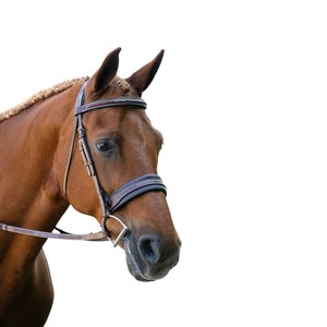 Brida de Cuero para Caballo al por Mayor con Riendas, Resistente, Duradera y Cómoda para Entrenamiento y Competición - Product Image 1